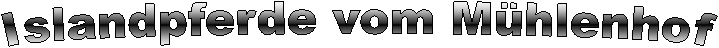 Islandpferde vom M�hlenhof
